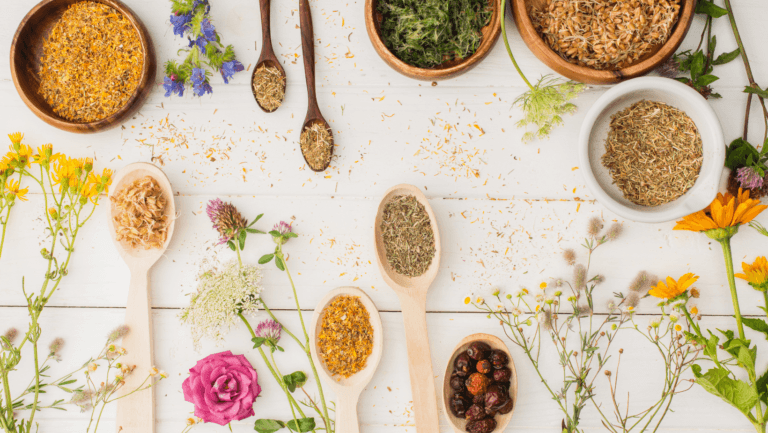 Neuro-naturopathie pour apaiser le système nerveux et le stress