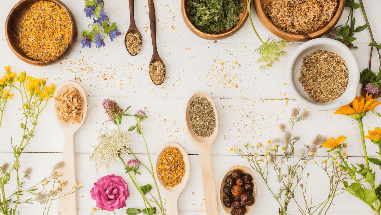 Neuro-naturopathie pour apaiser le système nerveux et le stress